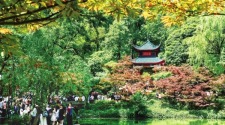 长沙岳麓山：春枫映亭