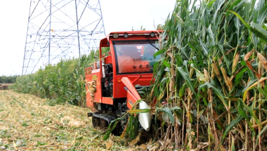 가을 수확기 장기적인 비 날씨 속, 산둥성 라이저우시 다각적 대응으로 가을 곡물 수확 지원_fororder_e003f75fb2dd4a5eae70d96d354a3454.787x450