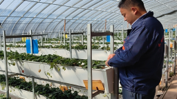临夏州永靖县：春耕时节劳作忙 科技兴农促振兴