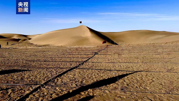 聚焦两会·开放团组丨“三件套”显成效 新疆实现治沙、增收双丰收