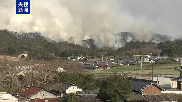 日本两地山火仍在蔓延 多校停课千余户紧急避难