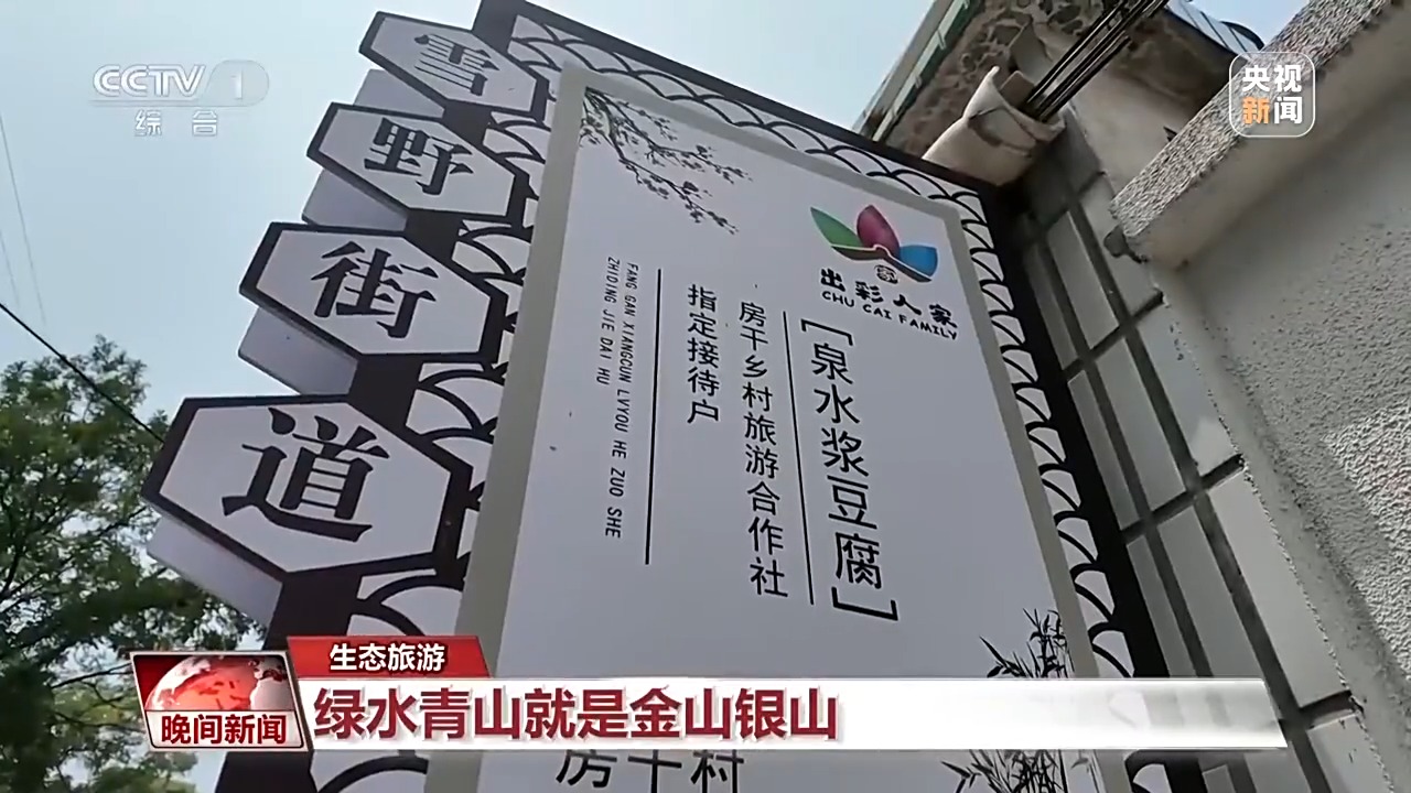 看见美丽中国丨炸水泥厂、种万棵树！“石头村”20年逆袭97%森林覆盖