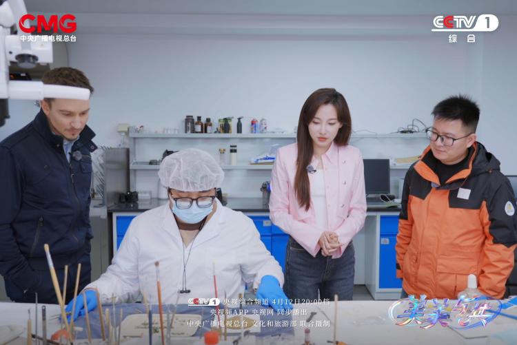 奏响文明互鉴最美乐章 《美美与共》今晚收官