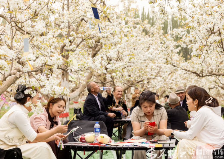 新疆影像7日（222）丨万象争春