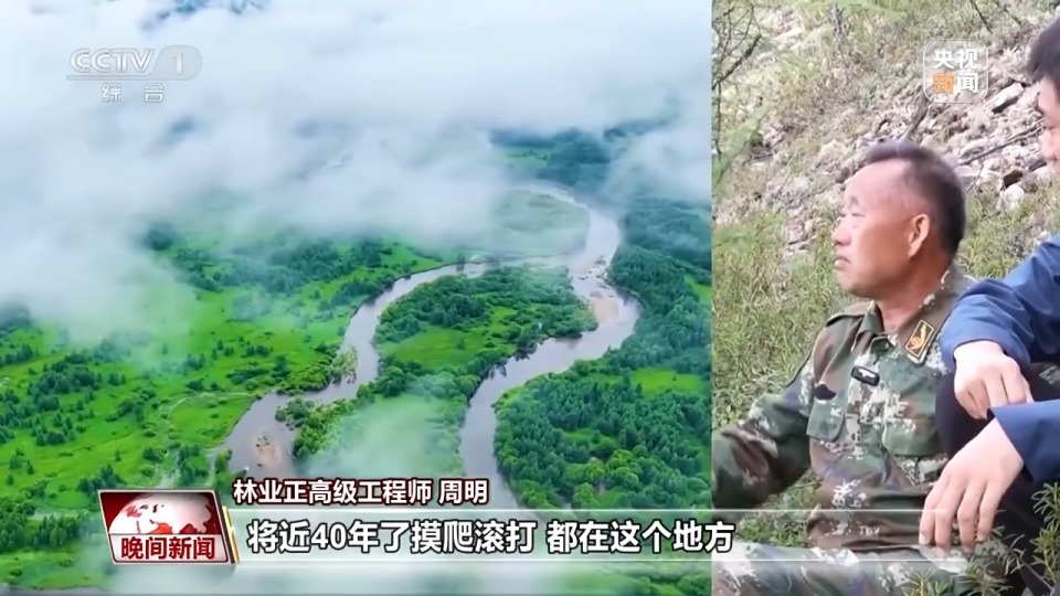 看见美丽中国丨停伐十年 看“绿色宝库”大兴安岭的转型路→