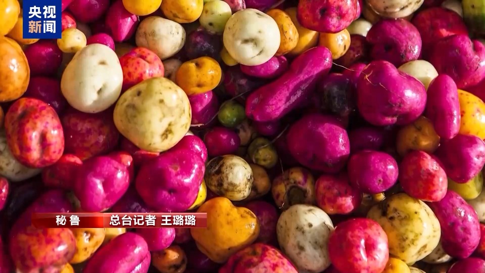 总台记者探访丨从冰激凌到十年不坏的神奇干粮 走近秘鲁的马铃薯世界