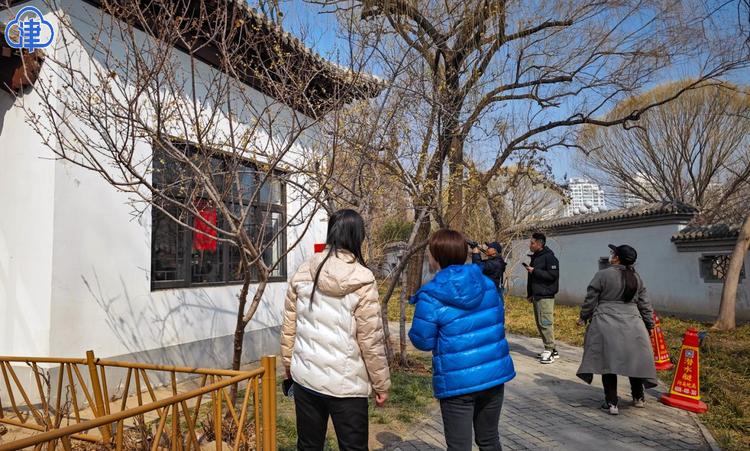 腊梅花一开 天津的春天就要来了！