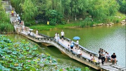 图片默认标题