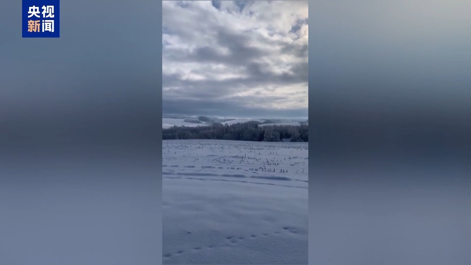 多地发生强降雪 日本气象厅发布警告-国际在线