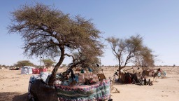 乍得军方进入“最高警戒状态”应对苏丹方向袭击_fororder_4fbbf322ea2841b4b16c21de707c2329