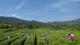 湖南桂东县开展“好书好茶好时光”主题读书分享会