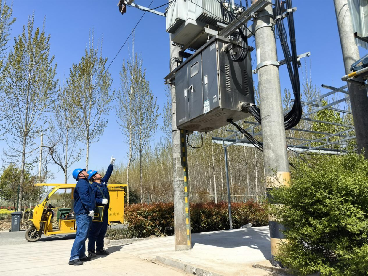 Jiaozuo, Henan: Tailored Power Services Safeguard Morel Mushroom Farming_fororder_图片11
