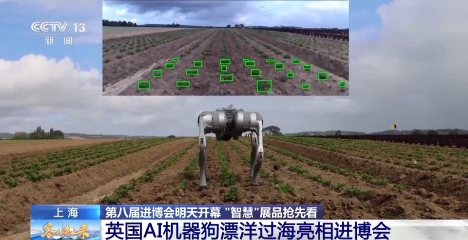 视频丨总台记者提前探馆 进博会智慧展品抢先看