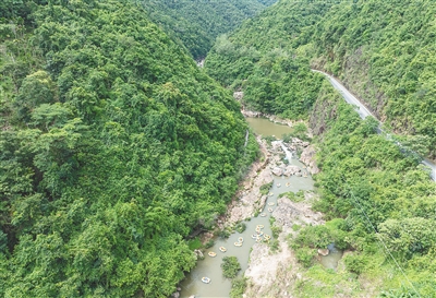 上山纳凉 入林寻幽