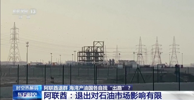 阿联酋“退群” 海湾产油国各自找“出路”？