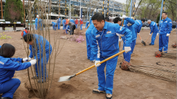 兰州石化公司开展2026年春季义务植树活动