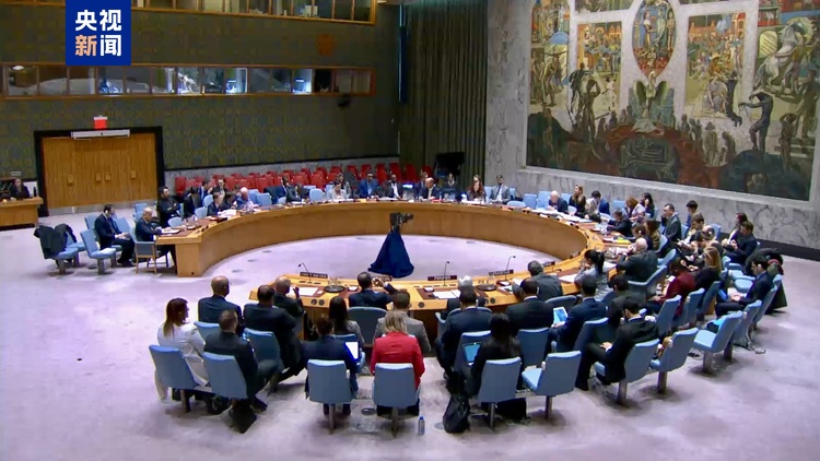 安理会举行联合国与阿盟合作问题公开会 中方支持深化合作