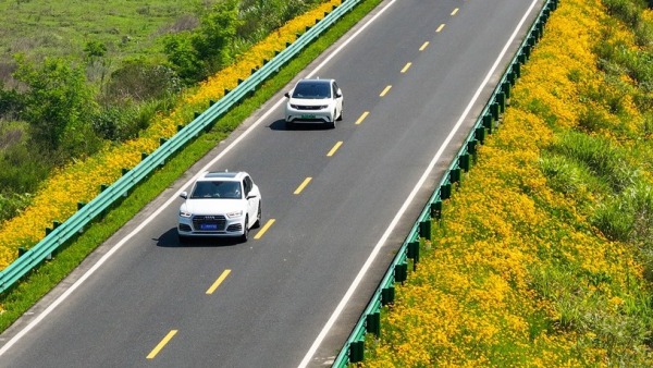 安徽休宁：一路芬芳一路景