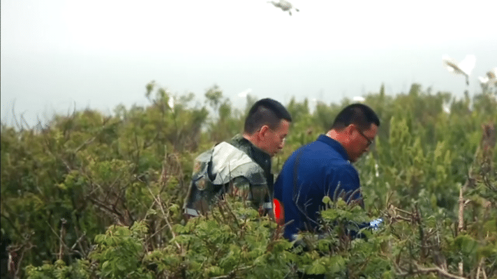 世界自然遗产+1！辽宁长山群岛，太宝藏了