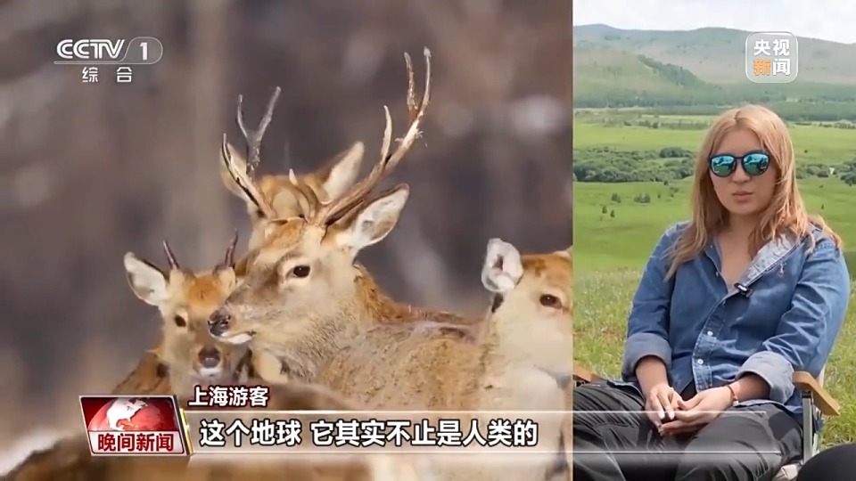 看见美丽中国丨停伐十年 看“绿色宝库”大兴安岭的转型路→