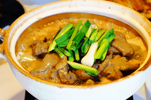 文化中国行·立冬 | 岭南立冬春意同，新梅万朵映晴空