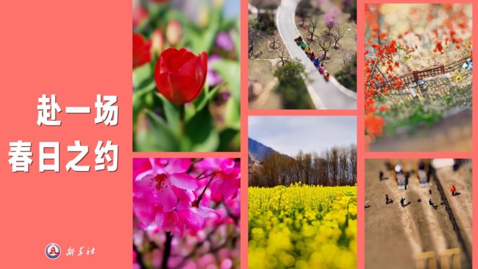 移轴带你看春天｜赏春花、趣春游，在山间田野赴一场春日之约！