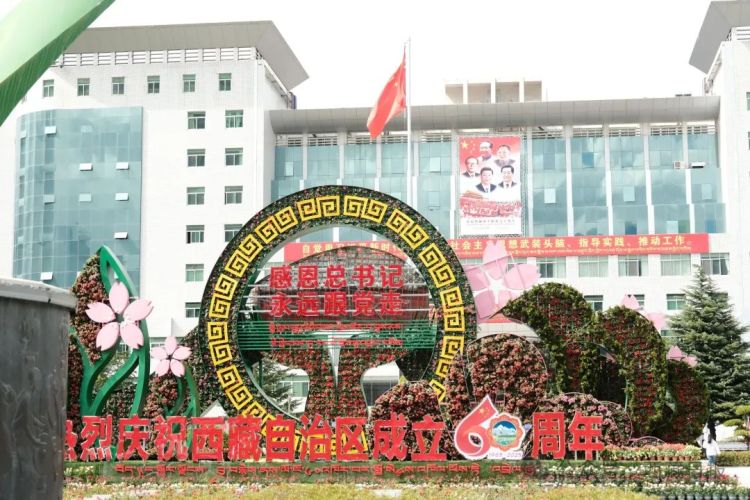 雪域高原的这波喜庆溢出屏幕啦！