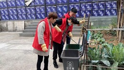 “小积分”撬动“大文明”杭州余杭良渚以数字化赋能提升垃圾分类质效