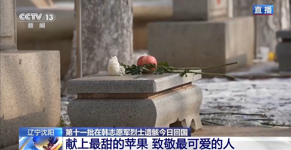 沈阳抗美援朝烈士陵园静候烈士回家