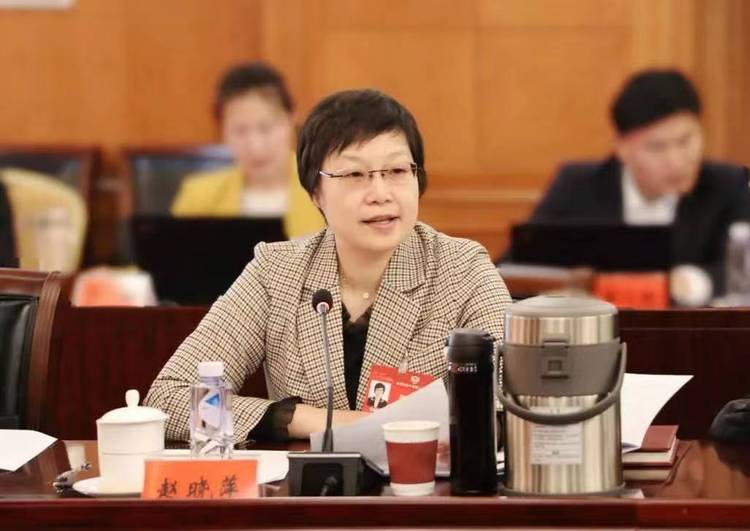 履职一年间丨全国政协委员赵晓萍:推进民间外交新实践 讲好新时代中国故事