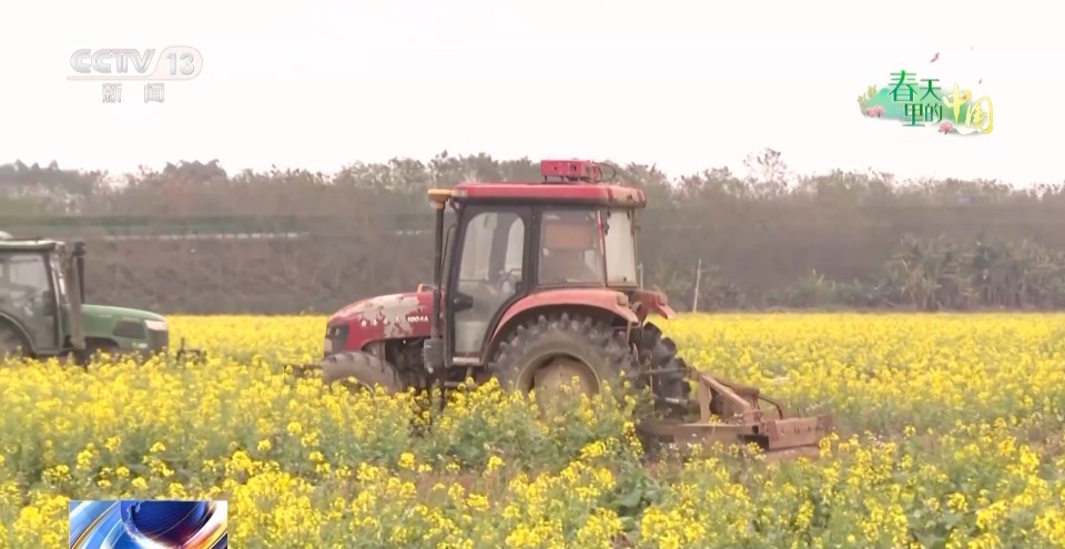 当现代农机遇上传统农业 “土豆”秒变“金豆”