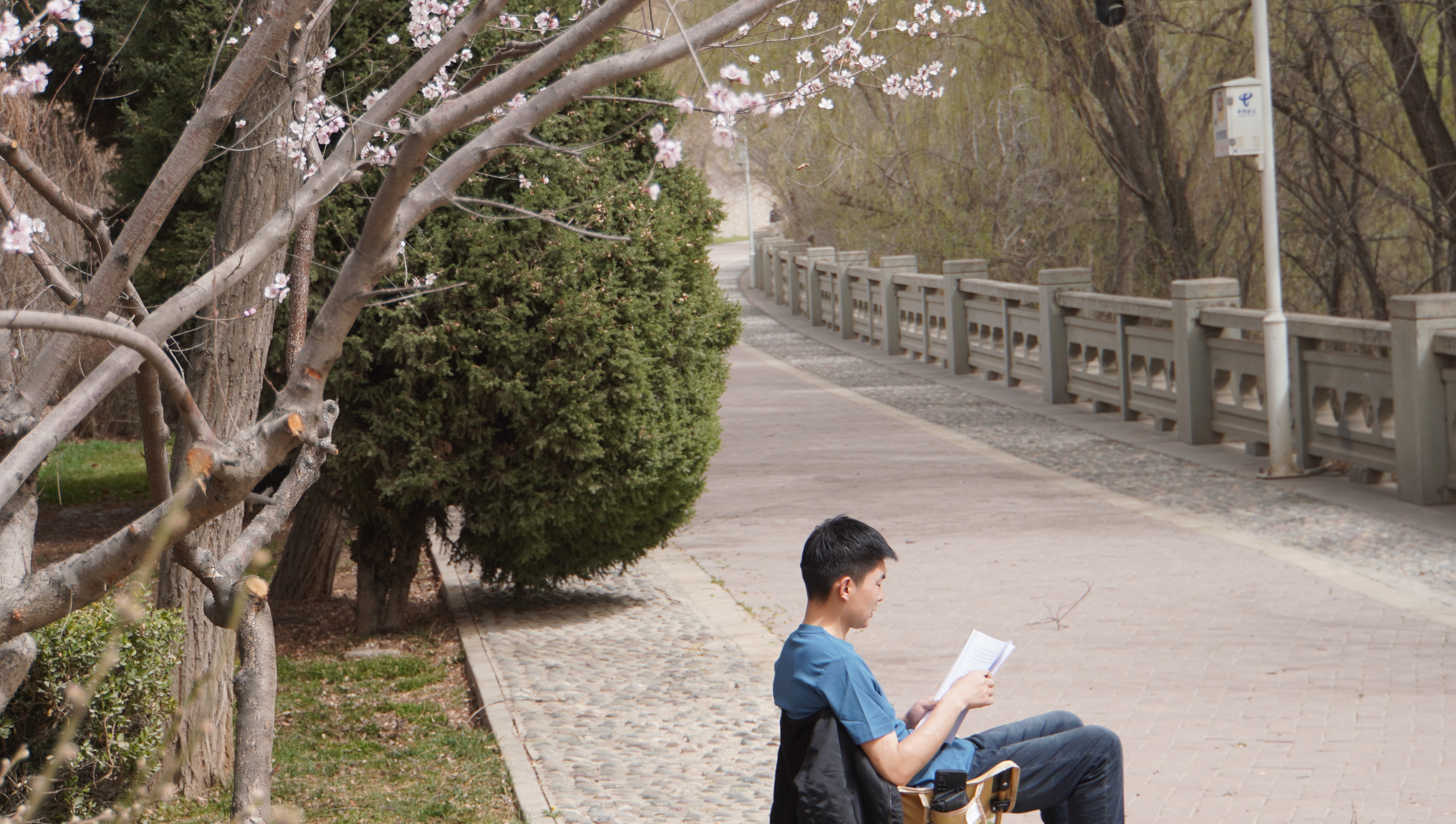 金城春信至 繁花绘盛景_fororder_DSC00780.JPG