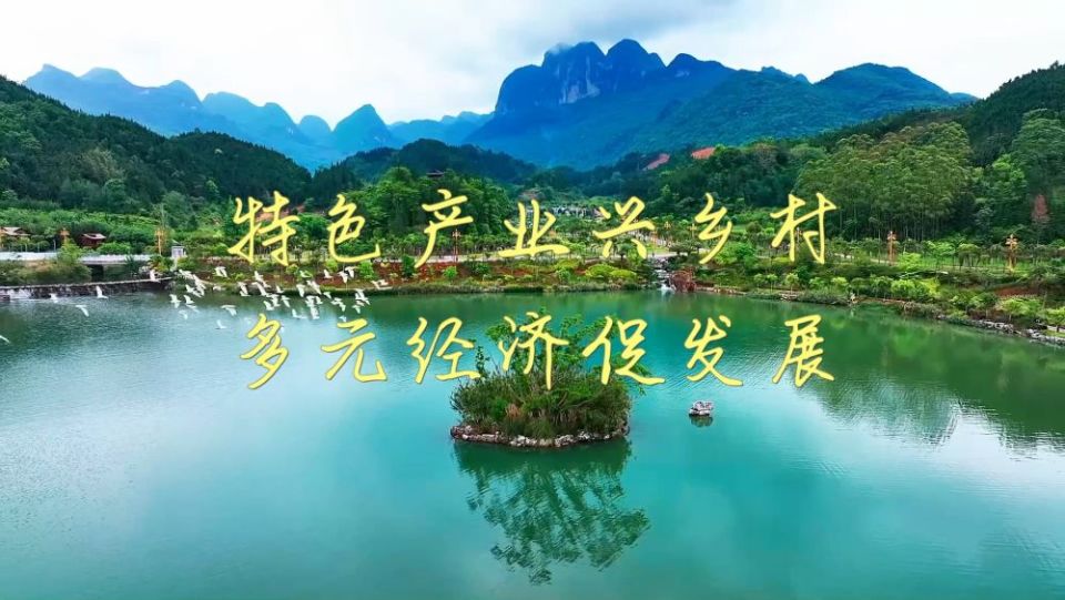 新华视点｜特色产业兴乡村 多元经济促发展