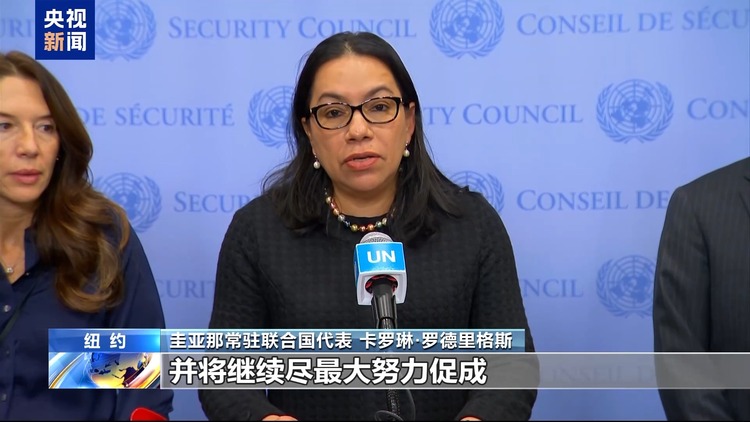 美国否决加沙停火决议、人道车队遭抢劫……联合国本周继续聚焦中东局势