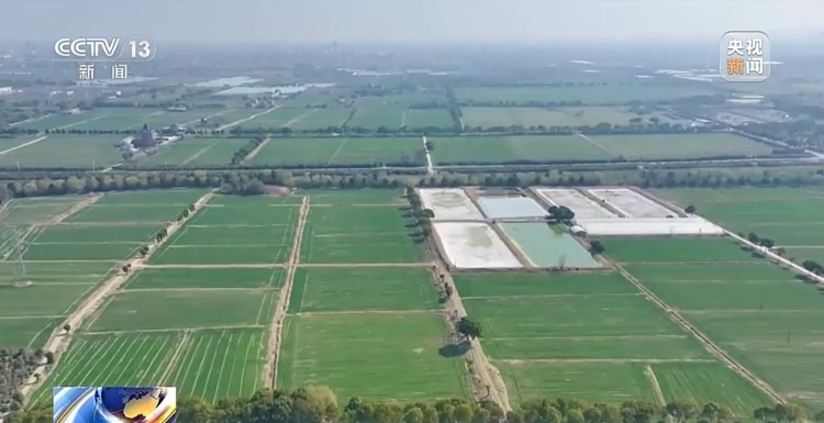 定制农机、专属CT 解锁技术服务助农增收的智慧密码