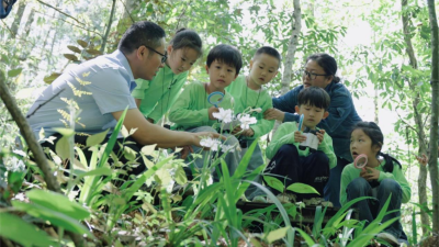 Jiangxi Yifeng Electric Power: Parent-Child "Green Exploration" Activity Promotes Ecological Awareness