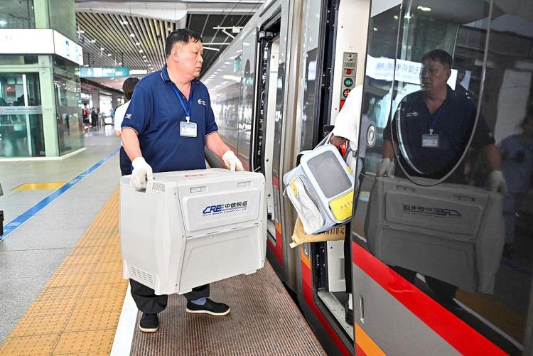 部分车票带“宠”字 宠物托运服务上新了