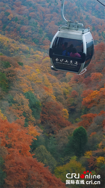台湾自媒体人点赞四川光雾山绝美秋色（两岸关系）_fororder_4