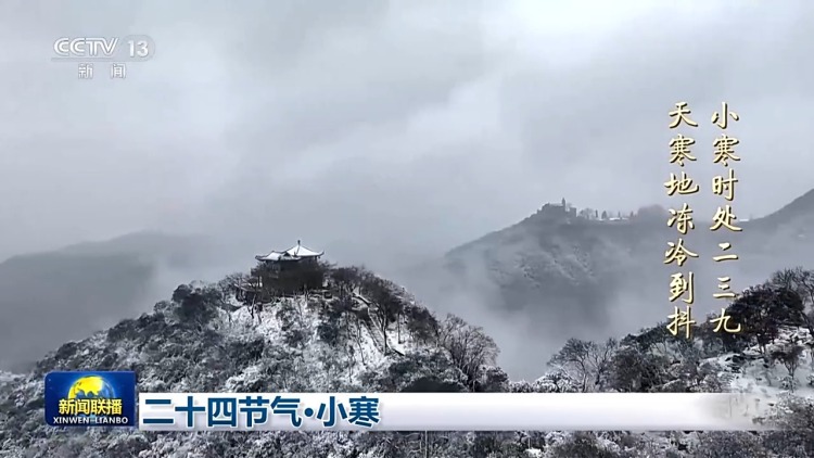 二十四节气·小寒 梅绽小寒枝头 大雁渐次北归