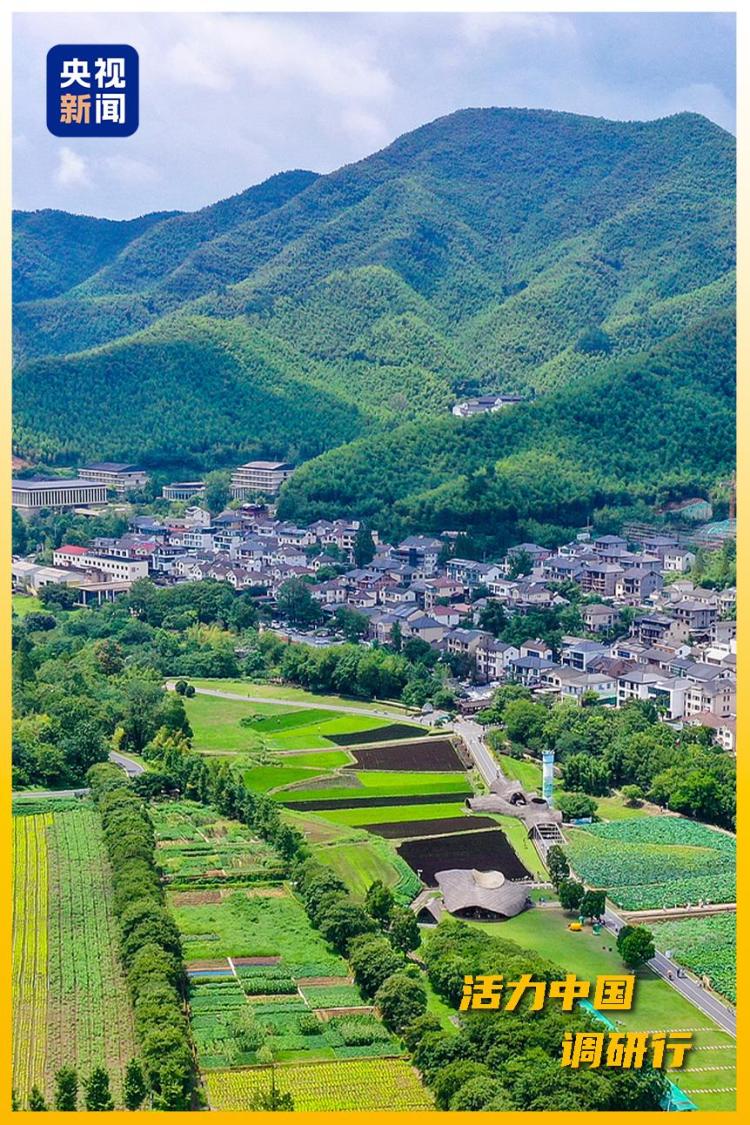 活力中国调研行丨从“浙”里，看中国