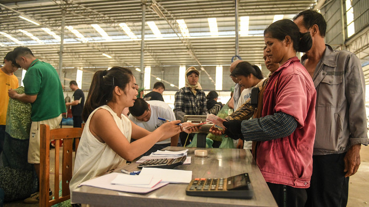 宝藏之城丨这座小城的茉莉花香飘世界