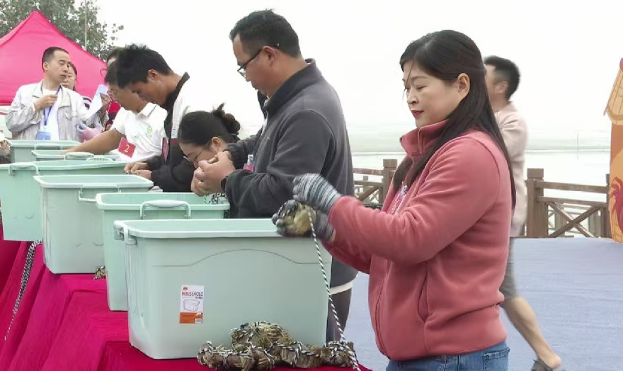 The 7th Wuhe Crab Festival Kicks Off: Using Crabs as a Medium to Paint a New Picture of Rural Revitalization_fororder_图片5
