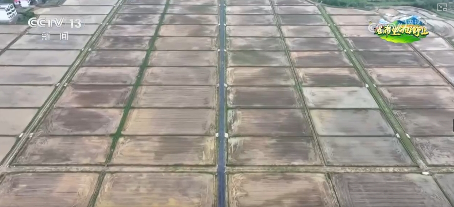 精播细作提质增效 智能农机成春耕生产“主角”