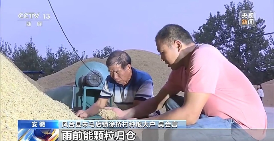 “收好粮”才能“卖好价” 机械助力粮食抢收新“丰”景