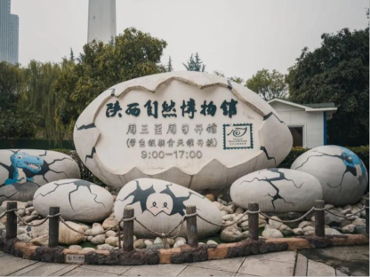 Science Wonderland: Family Adventures at Shaanxi Nature Museum