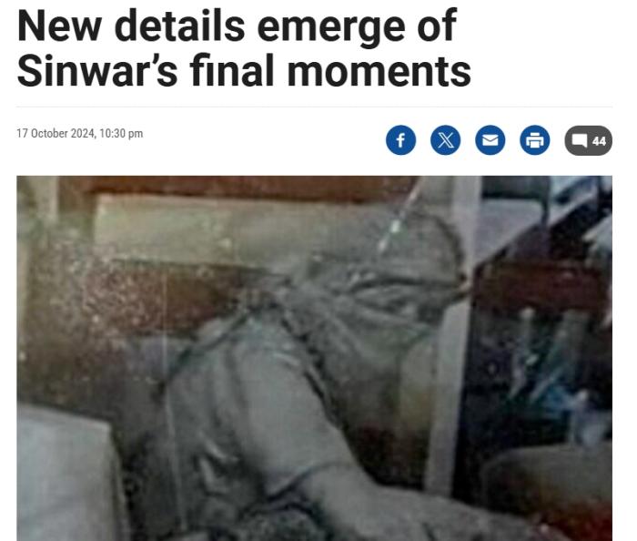 以媒公布辛瓦尔“最后时刻”：向无人机投掷棍子