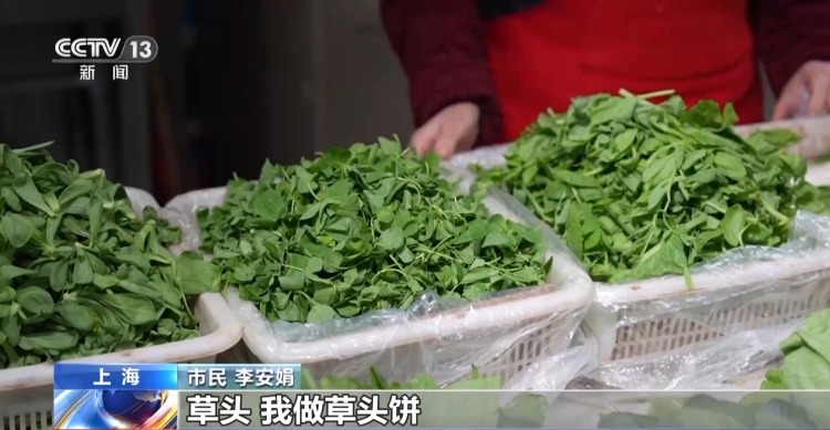 又到春菜上市季 跟着镜头去各地品尝“春味”