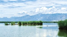 呼和浩特：哈素海生态保护旅游开发实现双赢