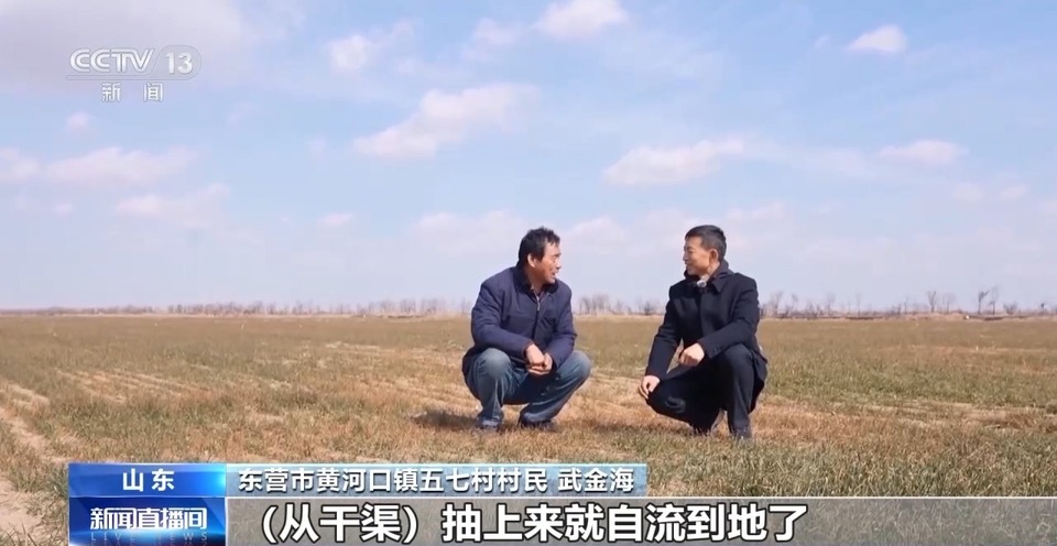 怎样培育耐盐碱经济作物？这位全国人大代表的建议来了