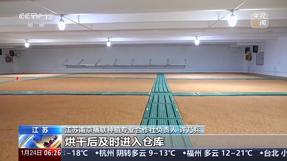 秋粮入仓忙 看科技如何赋能“大国粮仓”
